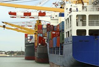 Marine Cargo Insurance Policy